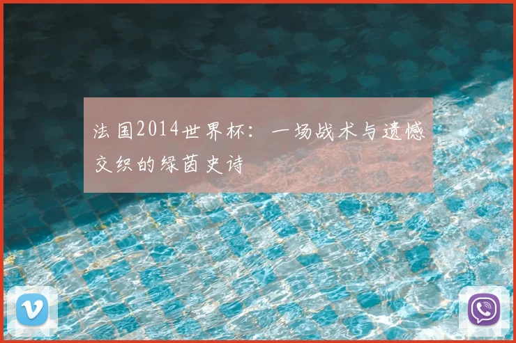 法国2014世界杯:一场战术与遗憾交织的绿茵史诗