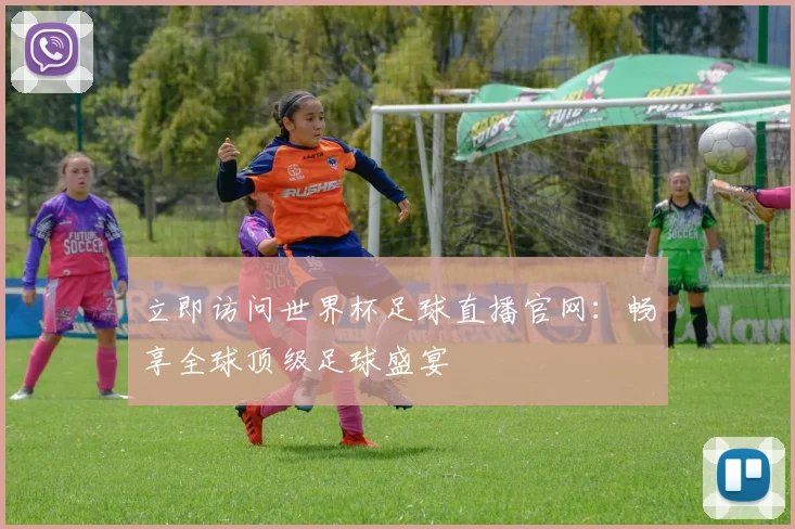 立即访问世界杯足球直播官网：畅享全球顶级足球盛宴