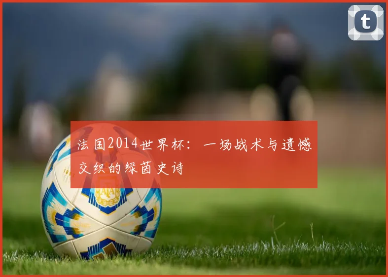 法国2014世界杯：一场战术与遗憾交织的绿茵史诗