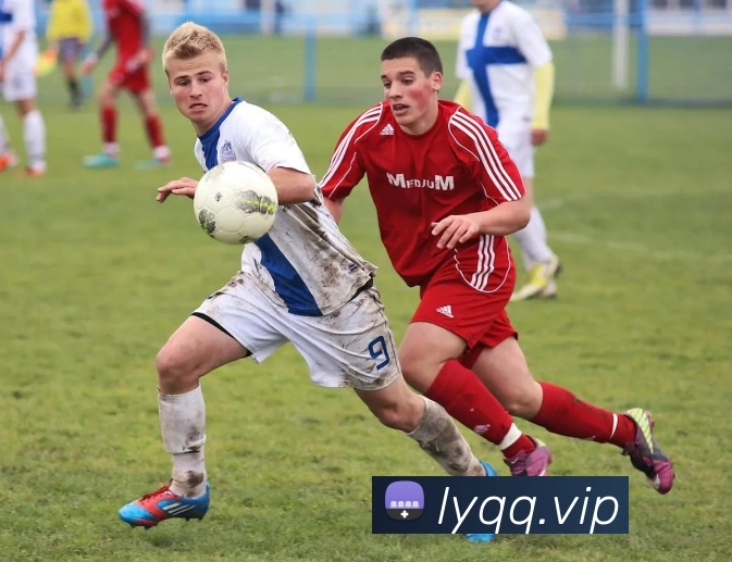 米兰体育官网登陆平台生态图